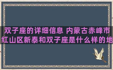 双子座的详细信息 内蒙古赤峰市红山区新泰和双子座是什么样的地方